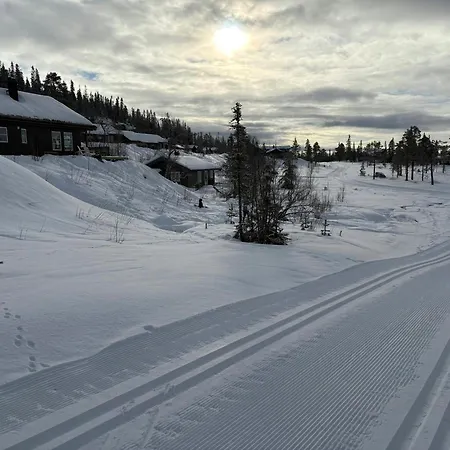 Views And Sunny Days On Norefjell * Eggedal